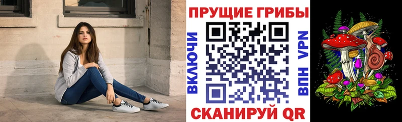 Псилоцибиновые грибы MAGIC MUSHROOMS  omg вход  Иноземцево 